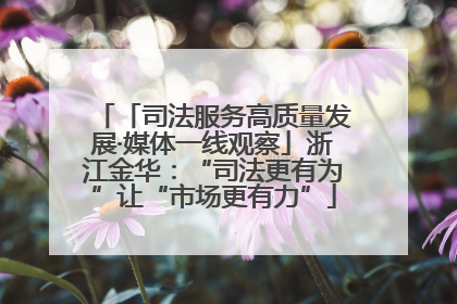 「司法服务高质量发展·媒体一线观察」浙江金华：“司法更有为”让“市场更有力”