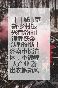 「城市更新·乡村振兴看济南」锦鲤跃金 沃野图新！济南市长清区：小锦鲤大产业 游出农旅新风景