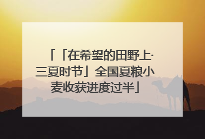 「在希望的田野上·三夏时节」全国夏粮小麦收获进度过半