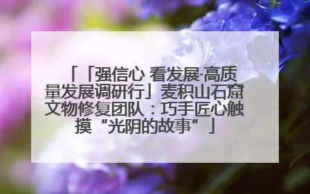 「强信心 看发展·高质量发展调研行」麦积山石窟文物修复团队：巧手匠心触摸“光阴的故事”