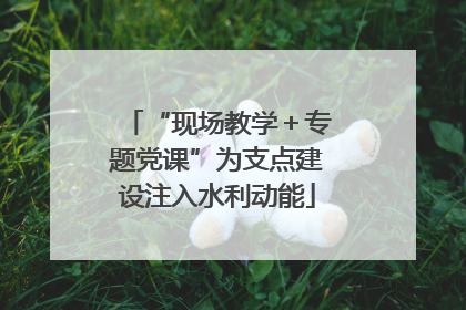“现场教学＋专题党课”为支点建设注入水利动能
