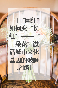 “网红”如何变“长红”——“一朵花”激活城市文化基因的破题之路