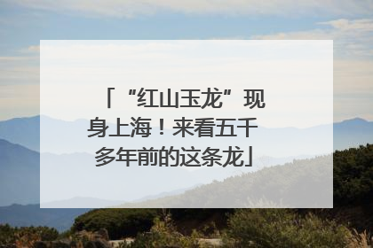 “红山玉龙”现身上海！来看五千多年前的这条龙