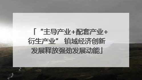 “主导产业+配套产业+衍生产业” 镇域经济创新发展释放强劲发展动能