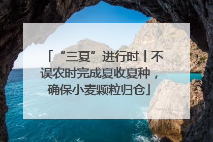 “三夏”进行时丨不误农时完成夏收夏种，确保小麦颗粒归仓