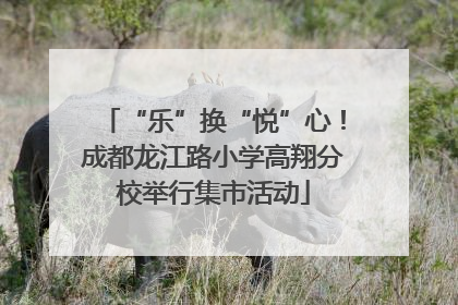 “乐”换“悦”心！成都龙江路小学高翔分校举行集市活动