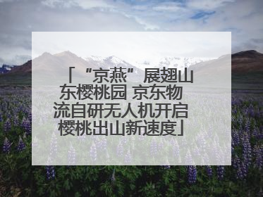 “京燕”展翅山东樱桃园 京东物流自研无人机开启樱桃出山新速度