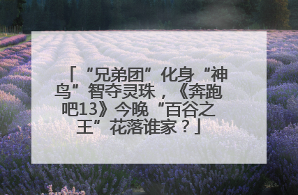 “兄弟团”化身“神鸟”智夺灵珠，《奔跑吧13》今晚“百谷之王”花落谁家？