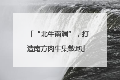 “北牛南调”，打造南方肉牛集散地