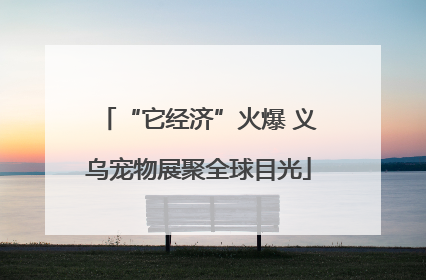 “它经济”火爆 义乌宠物展聚全球目光