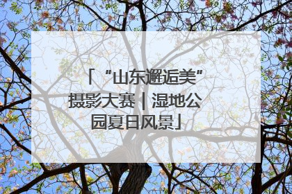 “山东邂逅美”摄影大赛｜湿地公园夏日风景