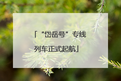 “岱岳号”专线列车正式起航