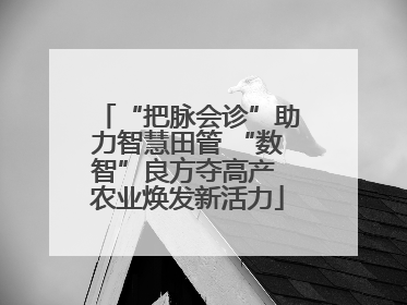 “把脉会诊”助力智慧田管 “数智”良方夺高产 农业焕发新活力