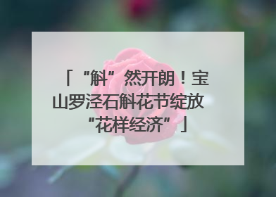 “斛”然开朗！宝山罗泾石斛花节绽放“花样经济”