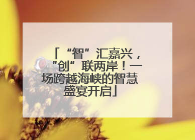“智”汇嘉兴，“创”联两岸！一场跨越海峡的智慧盛宴开启
