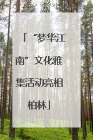 “梦华江南”文化雅集活动亮相柏林
