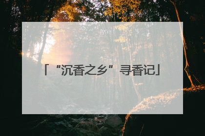 “沉香之乡”寻香记