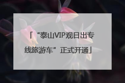 “泰山VIP观日出专线旅游车”正式开通