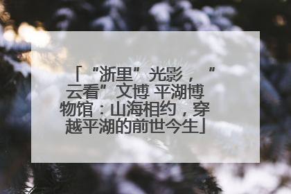 “浙里”光影，“云看”文博 平湖博物馆：山海相约，穿越平湖的前世今生