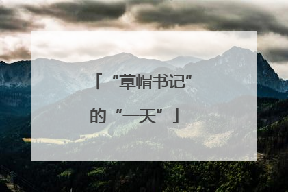 “草帽书记”的“一天”