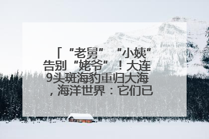 “老舅”“小姨”告别“姥爷”！大连9头斑海豹重归大海，海洋世界：它们已具备野外生存能力
