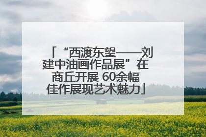 “西渡东望——刘建中油画作品展”在商丘开展 60余幅佳作展现艺术魅力