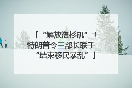 “解放洛杉矶”！特朗普令三部长联手“结束移民暴乱”