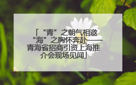 “青”之朝气相邀 “海”之胸怀奔赴——青海省招商引资上海推介会现场见闻
