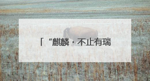 “麒麟・不止有瑞兽”第三届端午节龙舟赛交通出行提示