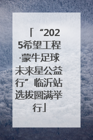 “2025希望工程·蒙牛足球未来星公益行”临沂站选拔圆满举行