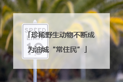 珍稀野生动物不断成为油城“常住民”