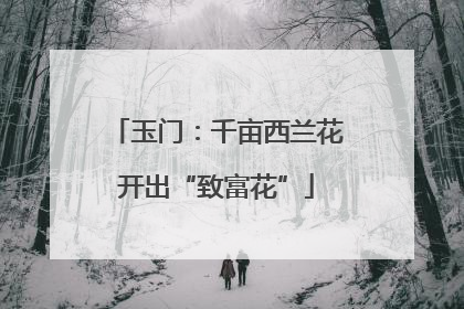 玉门：千亩西兰花开出“致富花”