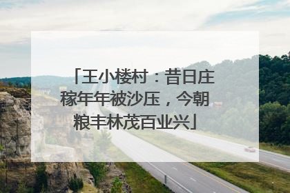 王小楼村：昔日庄稼年年被沙压，今朝粮丰林茂百业兴