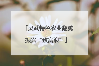 灵武特色农业翻腾振兴“致富浪”