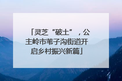 灵芝“破土”，公主岭市苇子沟街道开启乡村振兴新篇