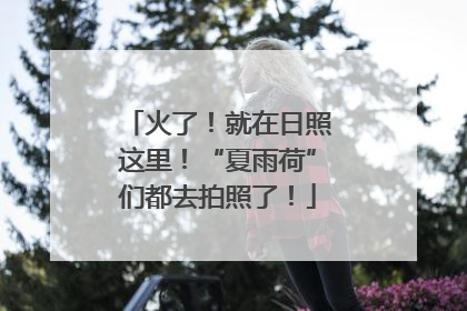 火了！就在日照这里！“夏雨荷”们都去拍照了！