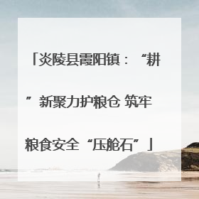 炎陵县霞阳镇：“耕”新聚力护粮仓 筑牢粮食安全“压舱石”