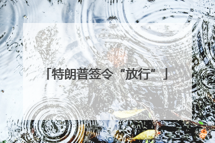 特朗普签令“放行”