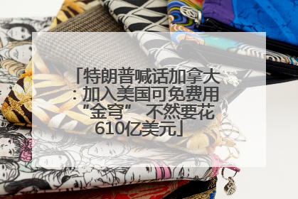 特朗普喊话加拿大：加入美国可免费用“金穹” 不然要花610亿美元