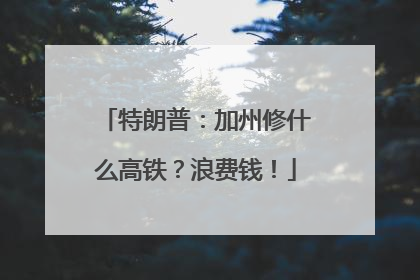 特朗普：加州修什么高铁？浪费钱！