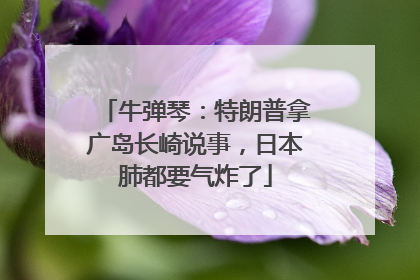 牛弹琴：特朗普拿广岛长崎说事，日本肺都要气炸了