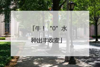 牛！“0”水种出丰收麦