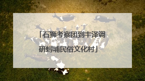 石狮考察团到丰泽调研蟳埔民俗文化村