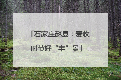 石家庄赵县：麦收时节好“丰”景