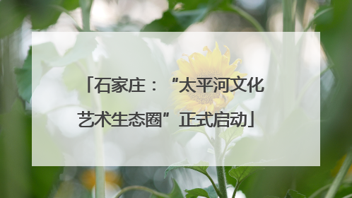 石家庄：“太平河文化艺术生态圈”正式启动