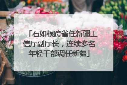 石如根跨省任新疆工信厅副厅长，连续多名年轻干部调任新疆