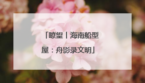 瞭望丨海南船型屋：舟影录文明