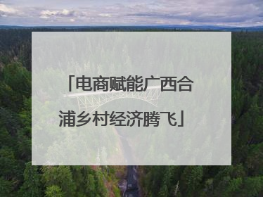 电商赋能广西合浦乡村经济腾飞