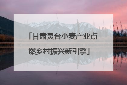 甘肃灵台小麦产业点燃乡村振兴新引擎