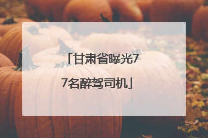甘肃省曝光77名醉驾司机